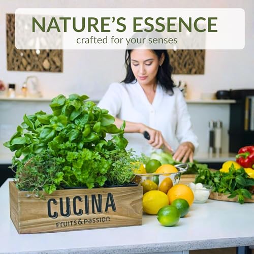 Cucina Hand Soap Refill Coriander & Olive Tree – Moisturizing Liquid Hand Wash 1L