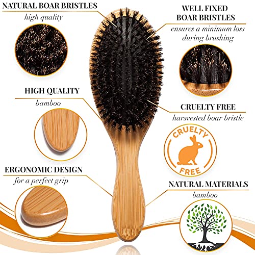 Belula Organic Skin and Hair Care. Dry Brushing Body Brush Set and 100% Boar Bristle Hair Brush Set. Restore Shine and Texture to Your Skin and Hair.