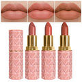 3 Pcs Matte Velvet Lipstick for Women Set,Nude Long Lasting Matte Lip Stick 24H Waterproof for Girls Natural Lip Makeup,Non-Stick Lipstick Makeup for Women,labiales magicos 24 horas originales