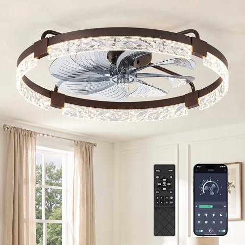 ZMISHIBO 24 Inch Ceiling Fan with Lights, Remote & App Control, Brown