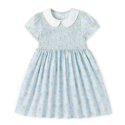 Toddler Girls Smocked Dress - Light Blue, 18 Months - Simplee Kids