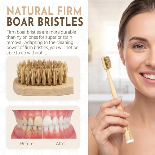 Boar Hair Hard Bristle Bamboo Toothbrush 5 Pack - Natural Organic, Eco-Friendly, Quick Dry