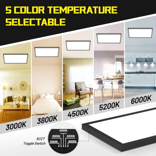 LED Flat Panel Light 2-Pack 24W Dimmable Surface Mount Ceiling Lights 5CCT
