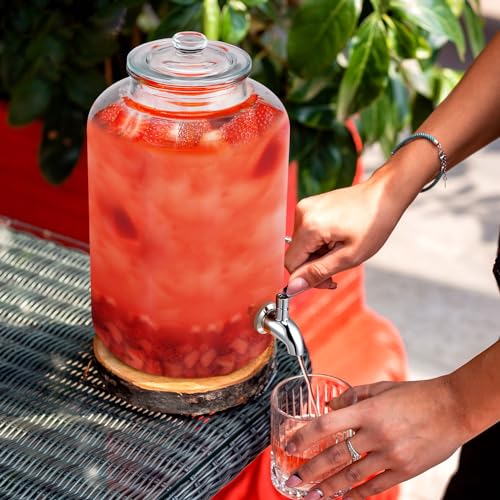 5 Gallon Glass Beverage Dispenser with Stainless Steel Spigot and Lid