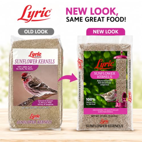 25 lb Wild Bird Seed with Sunflower Kernels No Waste | Attracts Finches & Songbirds