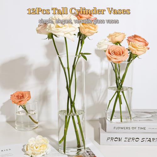 TBWIND 12 Pack 12 Inch Clear Glass Cylinder Vases for Centerpieces - Modern Home Decor