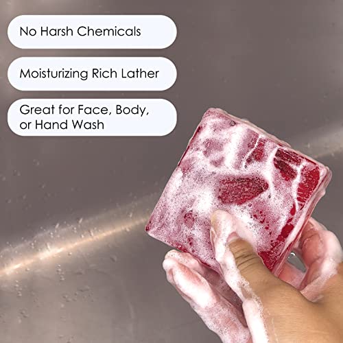 Primal Elements Vegetable Glycerin Scented Soap Bars, Great for Face and Body, Unisex Men and Women, Travel Size, Variety Pack, Homemade - Set of 7