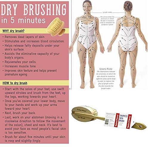 Yerba Prima Tampico Skin Brush Pack of 2 Natural Vegetable Fiber Exfoliating Brush
