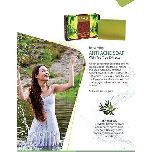 Fresh Cut Lilacs Gentle Foaming Hand Soap 8.75 Ounce Full Size Pump Bottle Wash