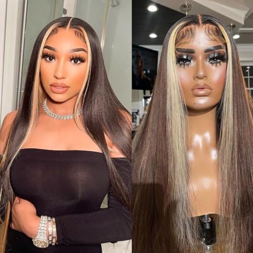 Brown Hair Color Lace Front Wig 24 Inch Long Straight Hair with Honey Blonde Highlights - Variation F27P