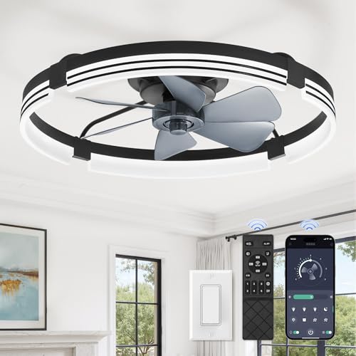 ZMISHIBO 24-Inch Black Low Profile Ceiling Fan with Lights & Remote