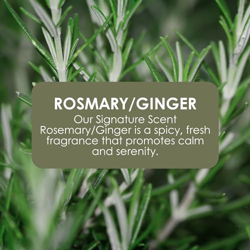Jean & Len Hand Soap Rosemary & Ginger, gently cleanses stressed hands, suitable for daily use, liquid soap in pump dispenser, fresh and spicy fragrance 8.45 Fl. Oz.