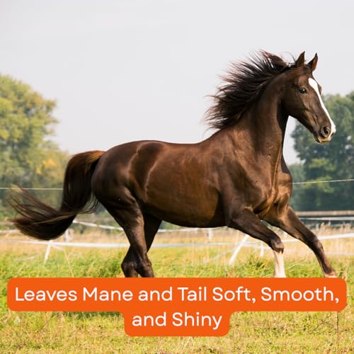 Horse Mane & Tail Detangler and Shine Conditioner - 32oz Spray