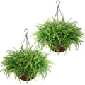 Fake Hanging Fern Plants Outdoor 2 Pack - Green faux Indoor & Outdoor Decor