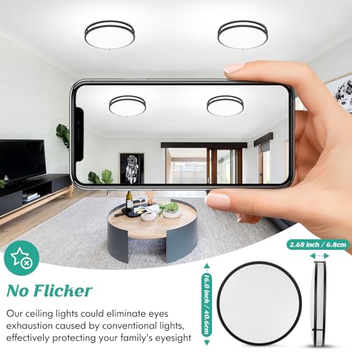 Black 16 Inch Dimmable LED Ceiling Light Fixture 50W 5CCT Stepless Adjustable