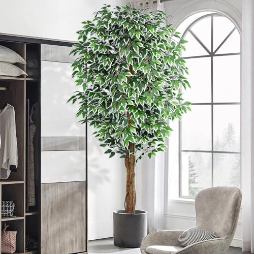 7ft Large Artificial Ficus Tree with Curved Trunk - Indoor Faux Plant, Green, Variation of THIS listing