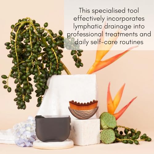 Premium Lymphatic Contour Face Brush ? Anti-Puffiness Sculpting Tool for Detox, Lifting & Facial Massage, Soft Dry Bristles for Lymphatic Drainage & Enhanced Skincare Absorption (2 pcs)