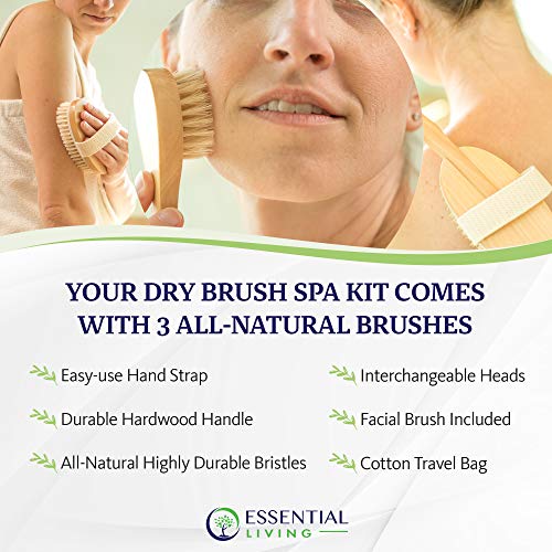 Dry Brushing Spa Kit with 1 Face Brush & 2 Body Scrub Brushes for Skin Exfoliation