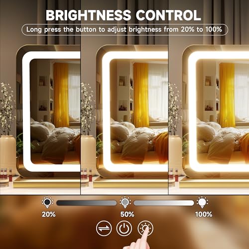 Hasipu Lighted Vanity Mirror with Lights - 22.8 x 18 Inches Dimmable LED Makeup Mirror, Touch Control, Gold