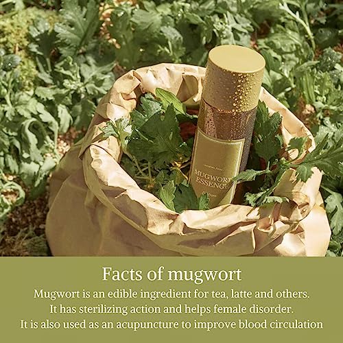 [I'm From] Miniatures of Rice Toner, Mugwort Essence, Fig Boosting Essence (Mugwort), Stocking Stuffers, Gifts for Women