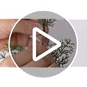4FT Artificial Cedar Topiary Tree with Ground Spike - Realistic Fake Plant for Indoor & Outdoor Decor