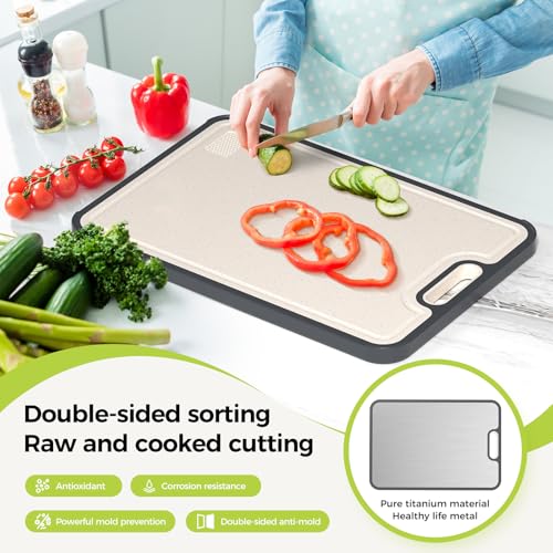 Set of 3 Double-Sided Titanium & Food-Grade PP Cutting Boards - Silver