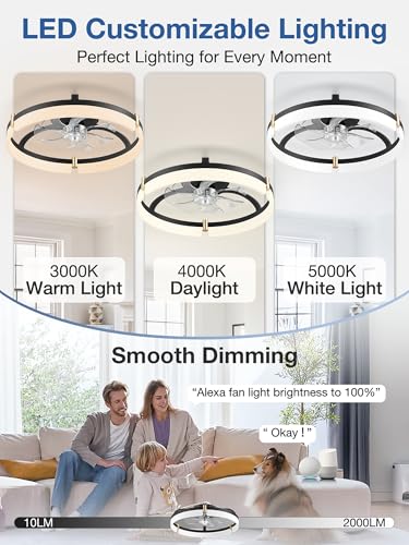 20-Inch Smart Ceiling Fan with Lights, Remote & Alexa Control, Black+Gold, Low Profile Flush Mount