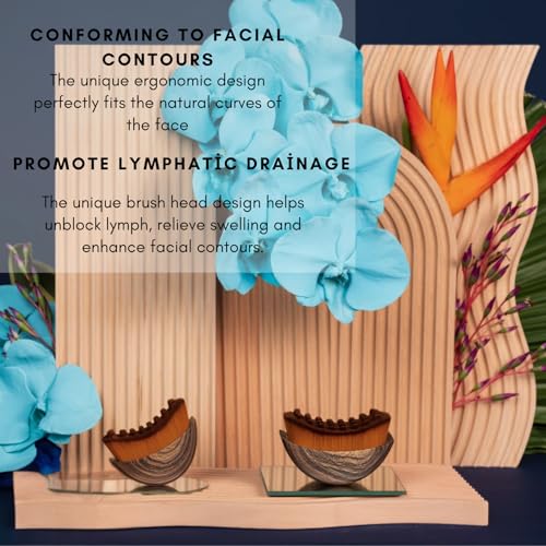 Premium Lymphatic Contour Face Brush ? Anti-Puffiness Sculpting Tool for Detox, Lifting & Facial Massage, Soft Dry Bristles for Lymphatic Drainage & Enhanced Skincare Absorption (2 pcs)
