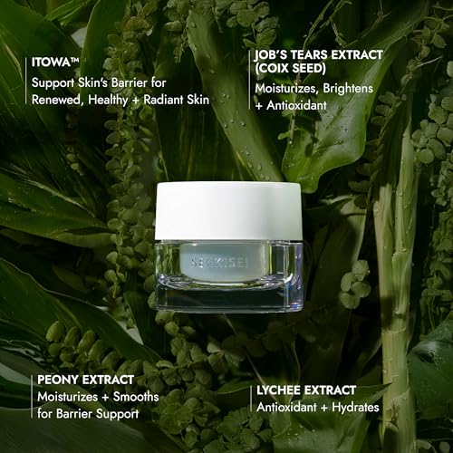 SEKKISEI CLEAR WELLNESS Water Shield Cream, Facial Moisturizer for Sensitive Skin, 1.4 Ounce