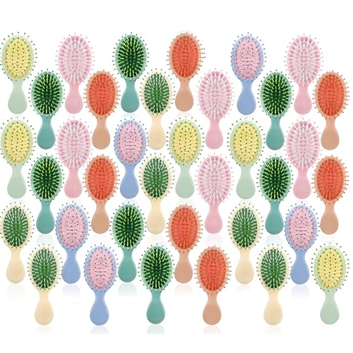 36 Pack Mini Wet Hair Brushes for Travel & Detangling - Multicolor