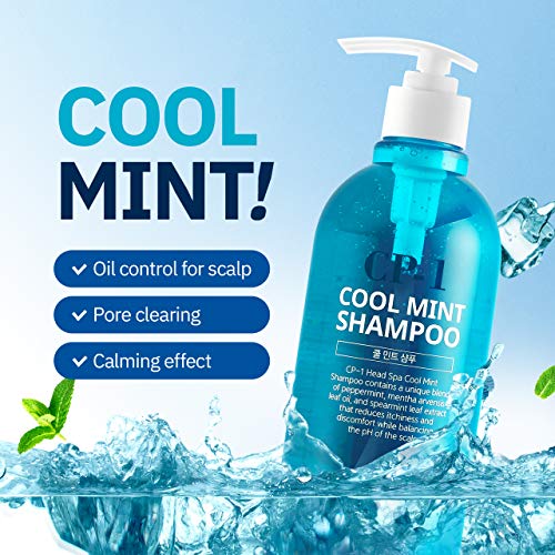 Cool Mint Shampoo for Dry Hair with Menthol - Scalp Relief & Refreshment, 16.9 fl oz