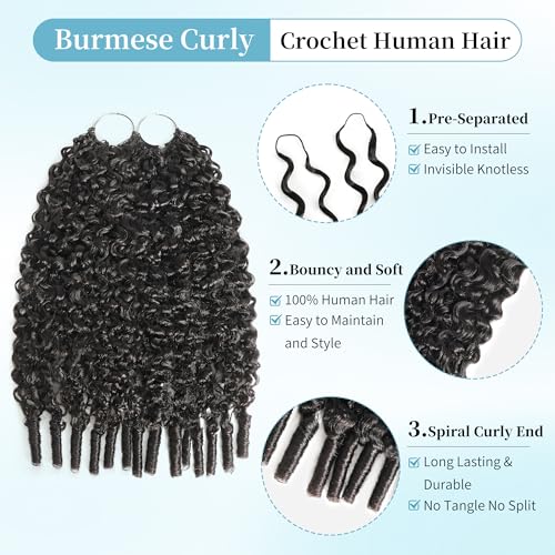 12 Inch Burmese Curly Human Crochet Hair - 120g for Black Women Variation #1B-Burmese Curly
