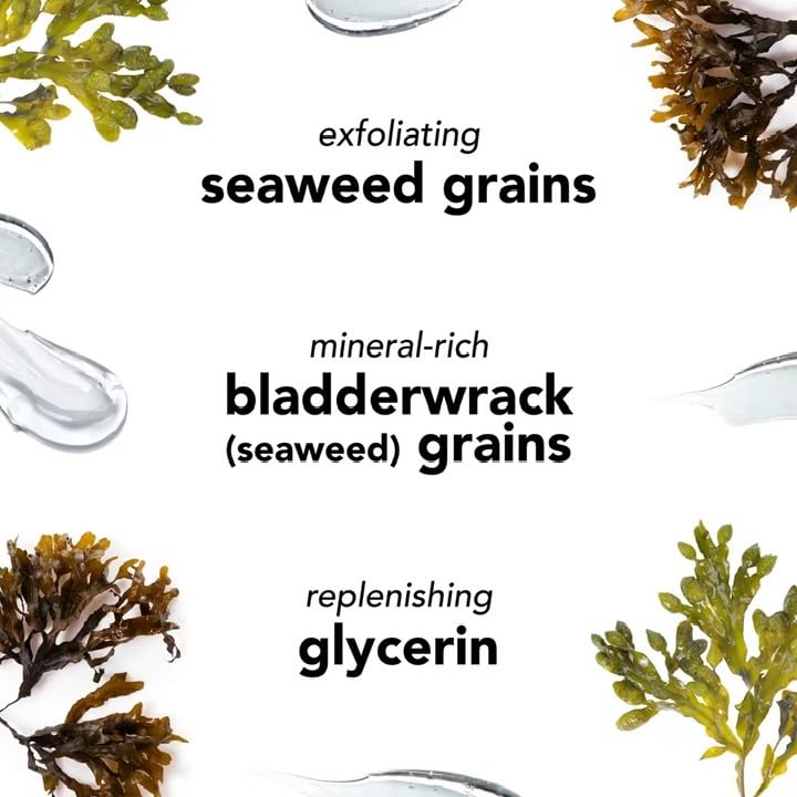 Seaweed Cleansing Soap 16oz for All Skin Types - Gentle Exfoliating Creamy Facial Cleanser