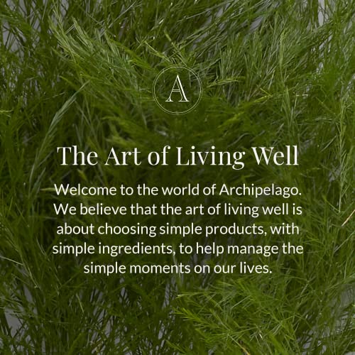 Archipelago Botanicals Kashmir Reed Diffuser 7.6 fl oz - Home Fragrance & Decor