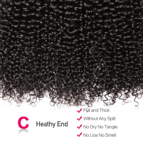 Natural Color Pixie Curly Human Hair Bundles 14 Inch Water Wave Textured Extensions - Black Women