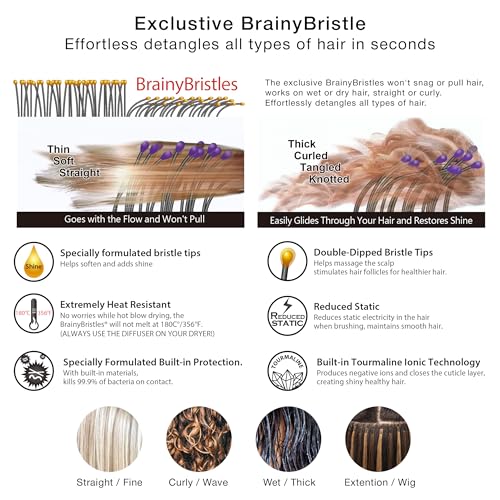 NuWay DoubleC PRO Hyacinth Scalp Care Hair Brush – Double Curve Design for Massage & Styling