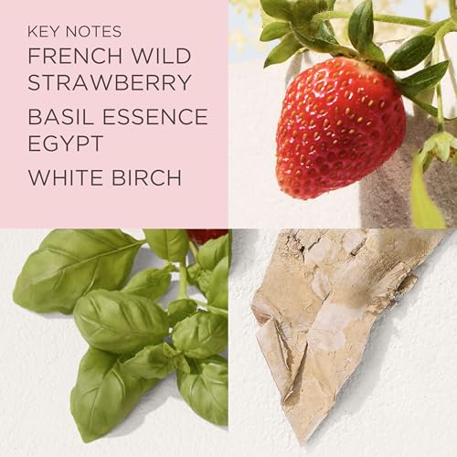 Hydrating Body Cream with Honey, Green Tea & Strawberries - 16.9 oz