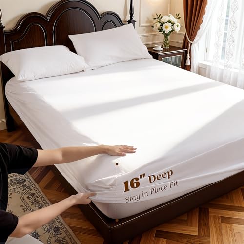 LBRO2M Queen Size Egyptian Cotton Bed Sheet Set 1000 TC Deep Pocket 16 inch