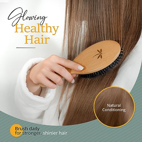 Belula Large Boar Bristle Hair Brush Set for Thin & Fine Hair - Natural Shine & Volume