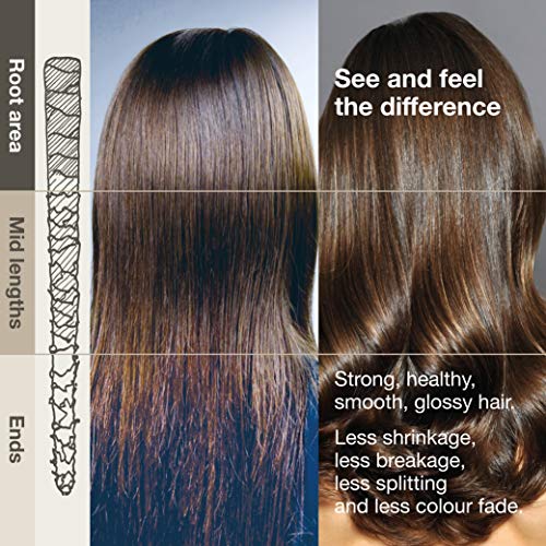 8.5 Fl Oz Moisturizing Cashmere Protein Shampoo for Dry & Frizzy Hair - Silicone & Sulphate Free - Luxury Hair Care by Michael Van Clarke