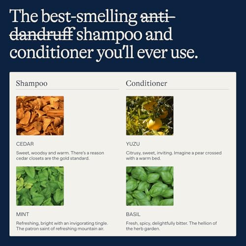Anti Dandruff Shampoo & Conditioner Set with Scalp Brush - Peppermint, 9 fl oz - Flakes