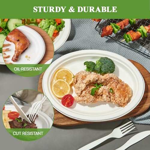 12 Inch Compostable Oval Paper Plates - White, 300 Pack - Eco-Friendly & Heavy Duty