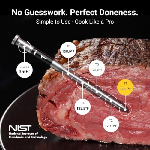 Wireless Meat Thermometer with 2 Probes, No App Needed, Long Range