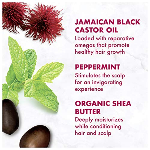 SheaMoisture Jamaican Black Castor Oil Strengthen & Restore Treatment Masque for Overly Processed, Chemically Treated or Heat Styled Hair 2 oz