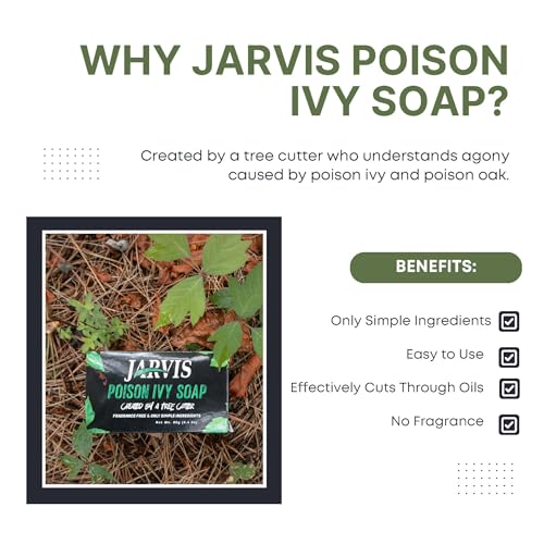 Poison Ivy Soap Bar | Treatment for Poison Ivy, Oak & Sumac | Fast Itch Relief and Soothing of Rashes, Redness & Inflammation | Simple Skin Care Ingredients | 2 pack | 3.4 Ounces (2)