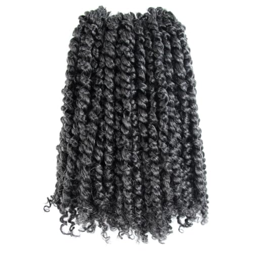 10 Inch Passion Twist Crochet Hair - Pre-twisted Salt and Pepper Set, 8 Packs, Short Braid Style with Variation of THIS listing