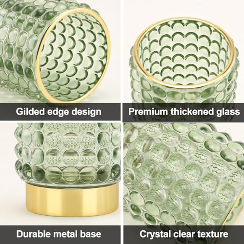 DASITON Makeup Brush Holder Organizer - Green S+L Glass Cosmetic Storage