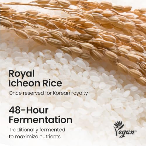 SKINFOOD Rice Daily Mask 30 Sheets - Korean Glass Skin Sheet Mask, Nourishing & Hydrating, Large Capacity