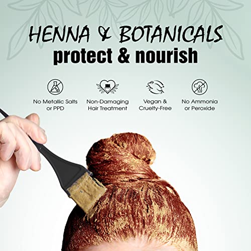 Light Mountain Henna Hair Color & Conditioner 14 Oz Pack of 1 - Auburn Semi-Permanent Hair Dye for Gray & Blonde Hair