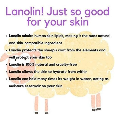 Lanolin Skin Cream for Dry & Cracked Skin 250g - Moisturizer for Face & Body